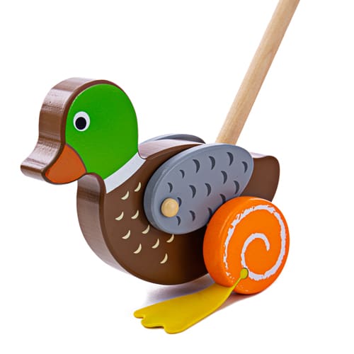 Duck Push Along - Curious Kids Play
