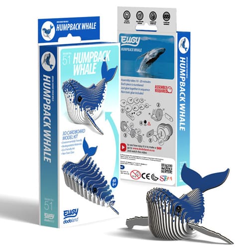 EUGY Humpback Whale - Little Splash Time