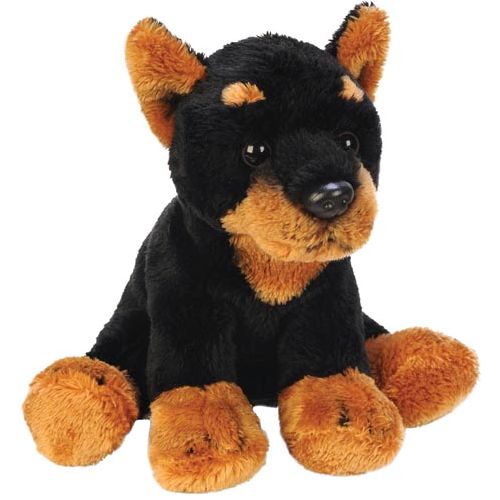 Sitting Doberman - Calm Cuddle Buddy